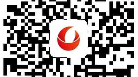 2026免费福利大开运娱乐：灰熊体验攻略，轻松避坑指南